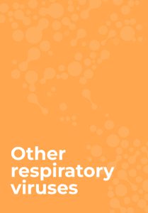Seasonality of Respiratory Syncytial Virus in Latin America and the Caribbean