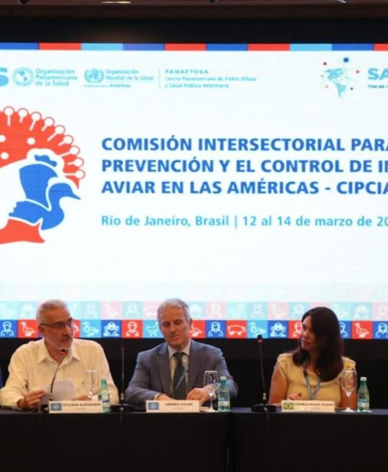 PAHO and countries of the Americas seek to establish an intersectoral commission to prevent and control avian influenza