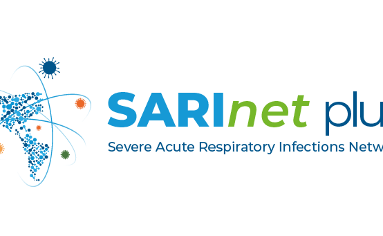 PAHO organizes an initial meeting to implement the Respiratory Mortality Surveillance network (PAHOMoMo) 