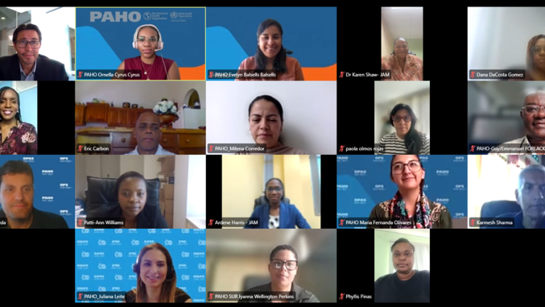 Caribbean countries strengthen pandemic preparedness through virtual learning series