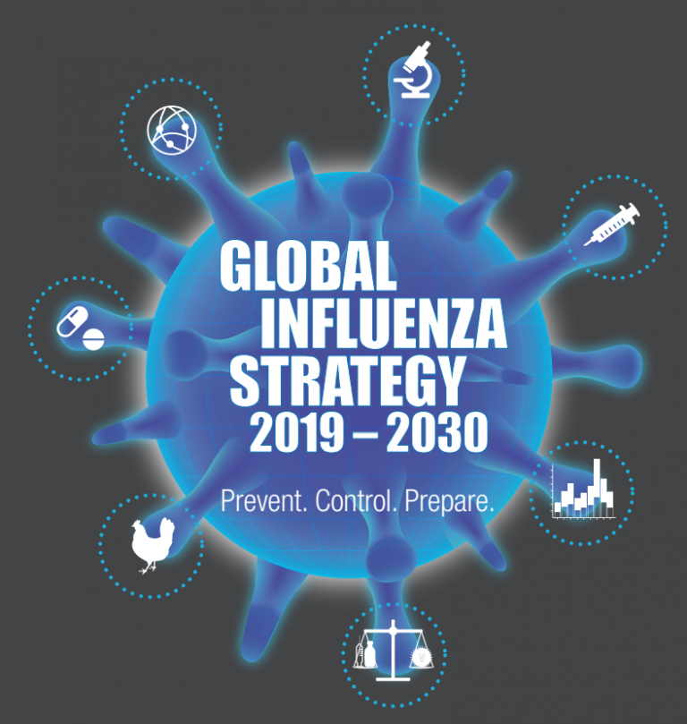 Global Influenza Strategy 2019-2030